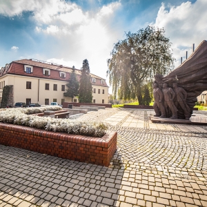 Wodzisław Śląski / na zlecenie ArtGroup / klient UM Wodzisław Śląski